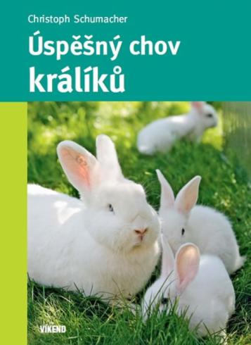 USPESNY CHOV KRALIKU