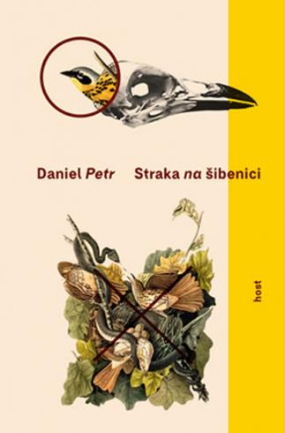 STRAKA NA SIBENICI