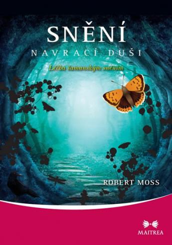 SNENI NAVRACENI DUSI