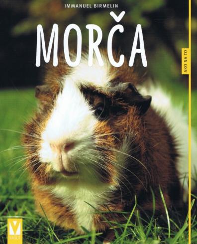 MORCA - AKO NA TO