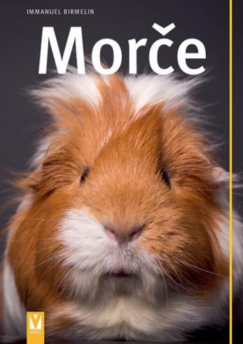 MORCE