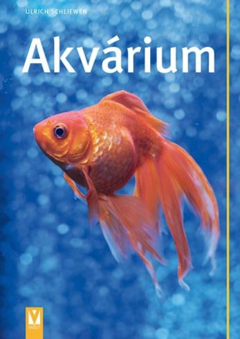AKVARIUM