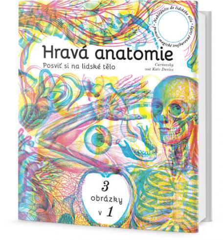 HRAVA ANATOMIE