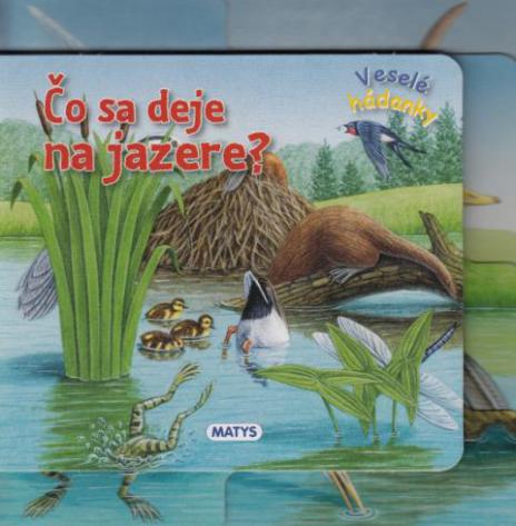 CO SA DEJE NA JAZERE
