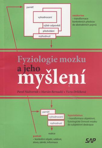 FYZIOLOGIE MOZKU A JEHO MYSLENI
