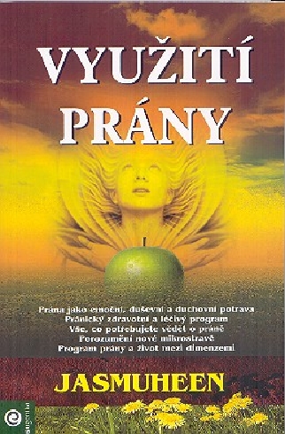 VYUZITI PRANY