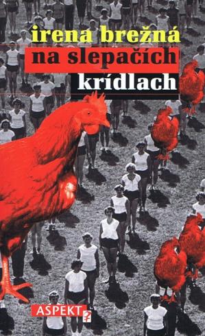 NA SLEPACICH KRIDLACH