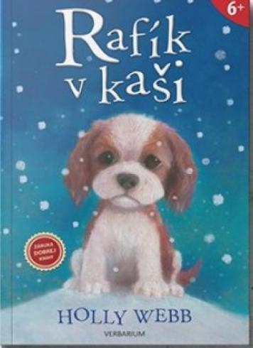 RAFIK V KASI