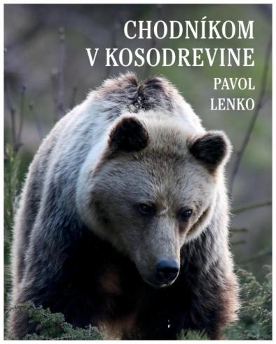 CHODNIKOM V KOSODREVINE